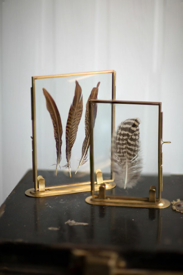 Feather Display Floating Picture Frames: Chic & Organic Elegance
