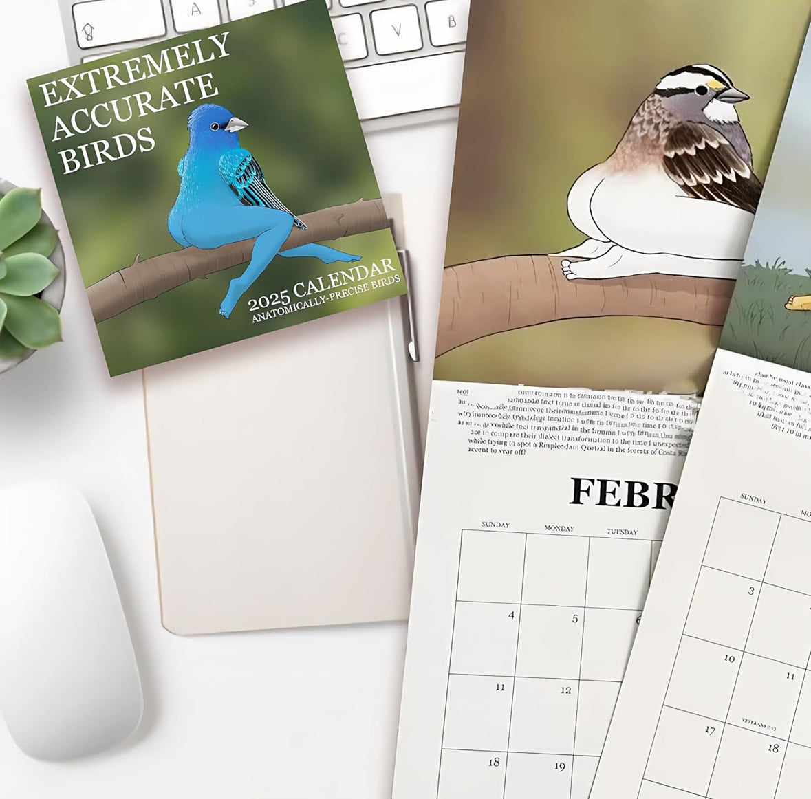 2025 Calendar of Hilariously Accurate Birds – Whimsical & Photorealistic Art