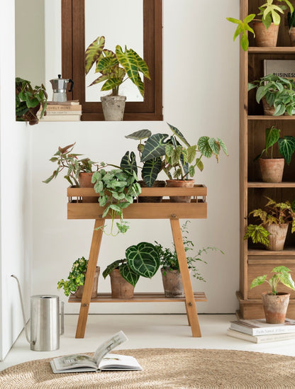 Japandi 2-Tier Solid Wood Plant Stand – Minimalist Indoor Garden Console Wooden Plant Stand – Tray Top Console & Display Shelf
