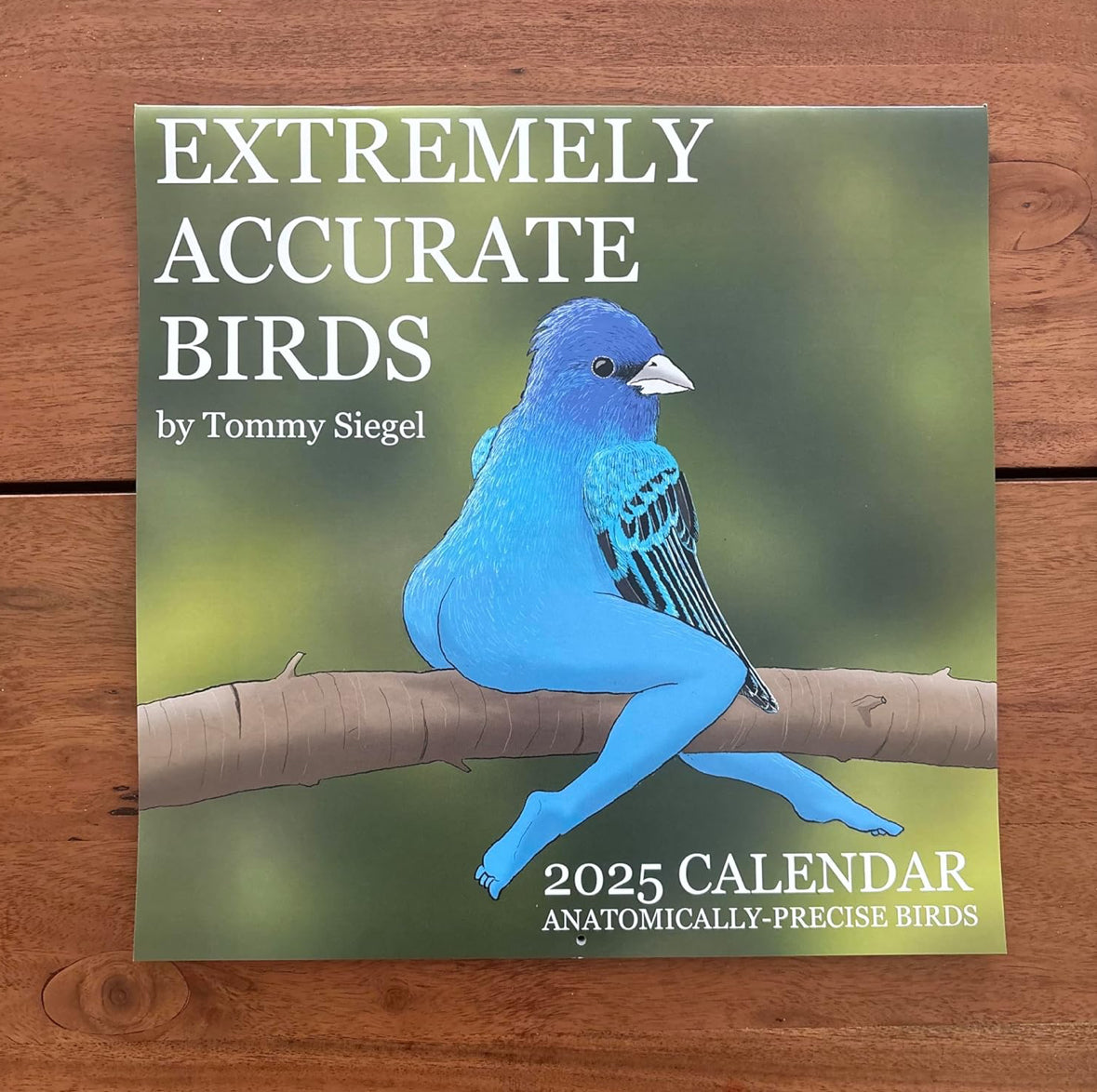 2025 Calendar of Hilariously Accurate Birds – Whimsical & Photorealistic Art