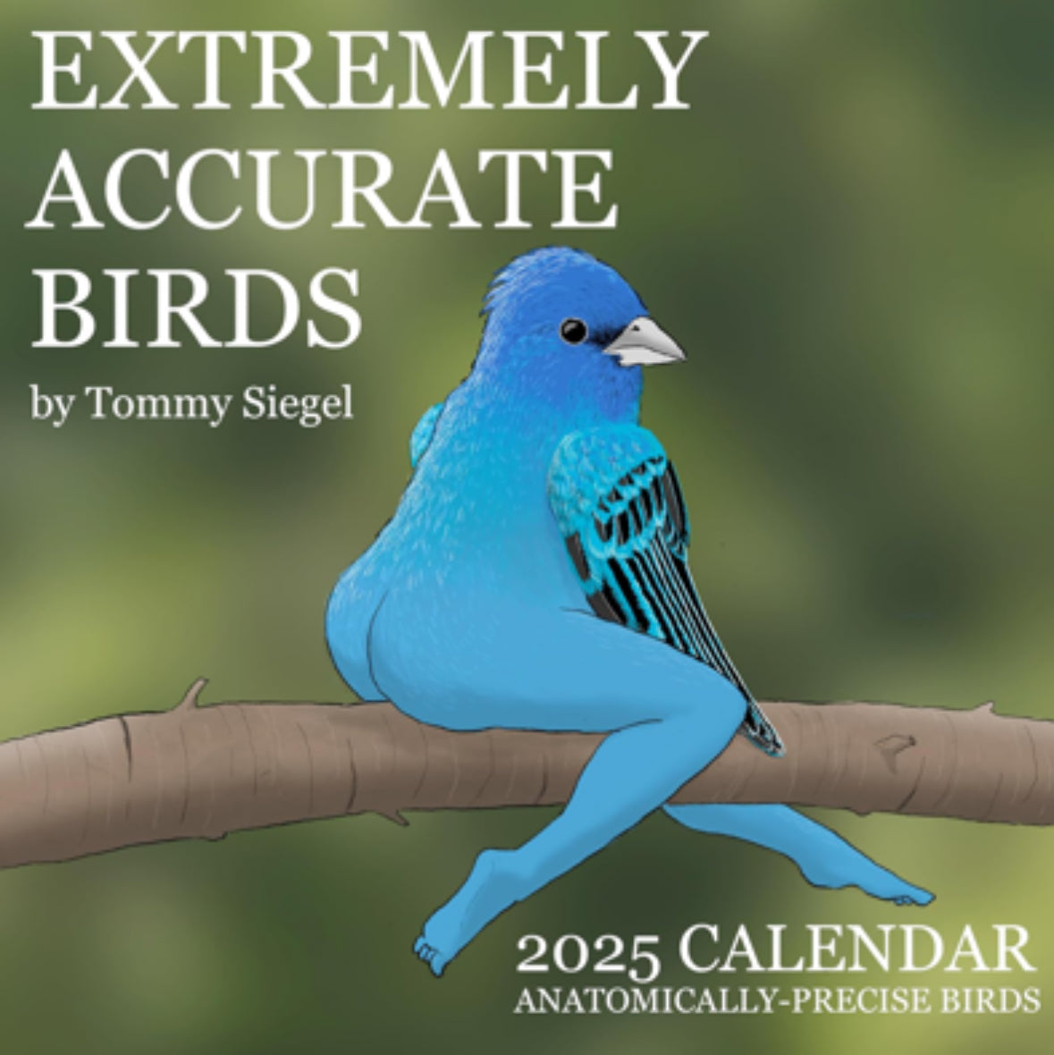 2025 Calendar of Hilariously Accurate Birds – Whimsical & Photorealistic Art