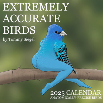 2025 Calendar of Hilariously Accurate Birds – Whimsical & Photorealistic Art