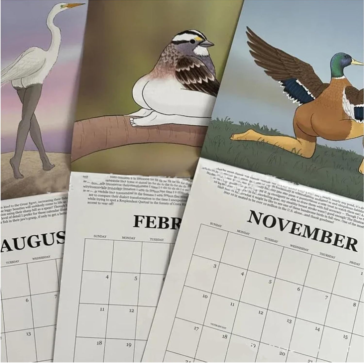 2025 Calendar of Hilariously Accurate Birds – Whimsical & Photorealistic Art