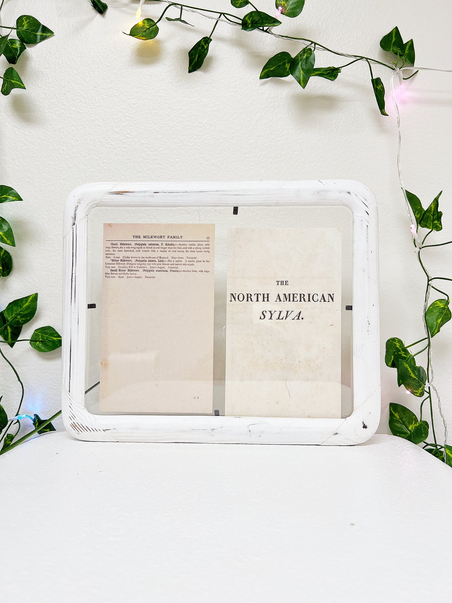 Wooden Floating Frame Handmade Modern Farmhouse White Distressed