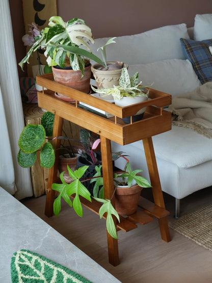 Japandi 2-Tier Solid Wood Plant Stand – Minimalist Indoor Garden Console Wooden Plant Stand – Tray Top Console & Display Shelf