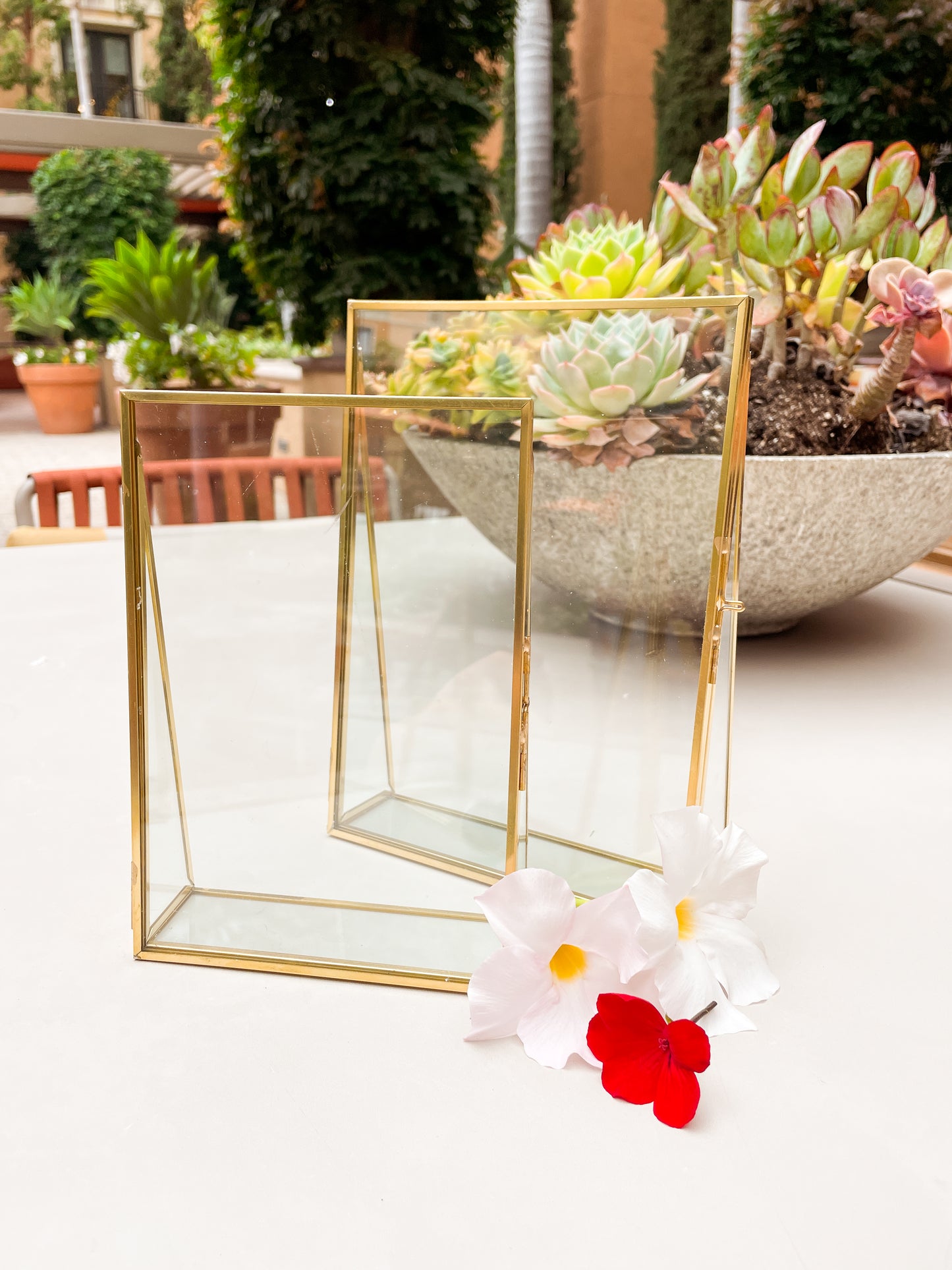 Gold-Edged Display Floating Picture Frames