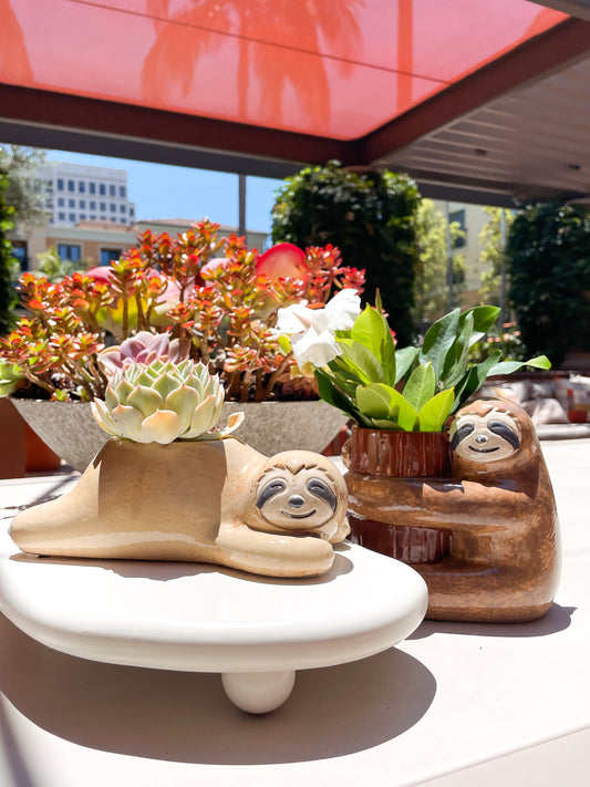 Sloth Ceramic Flower Pot
