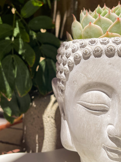 large buddha head plant pot Namaste Garden Buddha Head Planter Succulent and Plant Pot