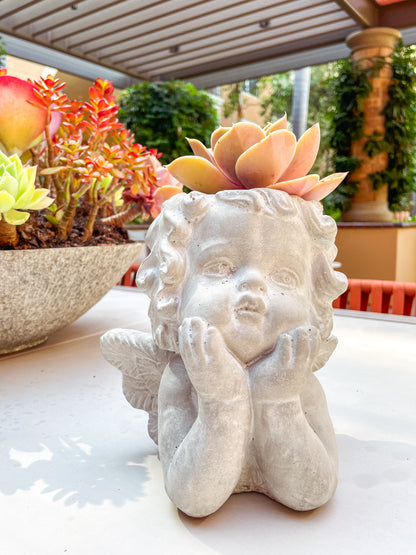cement succulent pot Kalalou Cupid Angel Cement Plant Pot