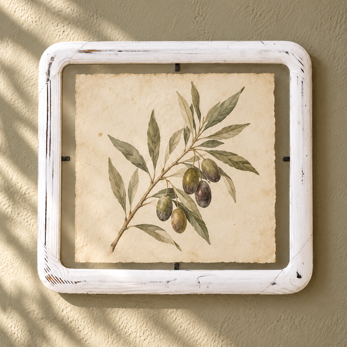 A square framed botanical art print featuring an olive branch with green leaves and dark olives on an aged beige background, set in a distressed white wooden frame and mounted on a textured beige wall with soft shadow patterns.